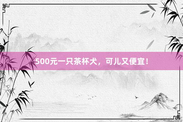 500元一只茶杯犬，可儿又便宜！